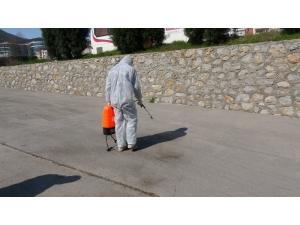 Karabük’te Çekirge İstilası Korkuttu