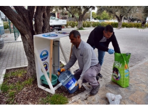 Söke Belediyesi Sokak Hayvanlarını Unutmadı