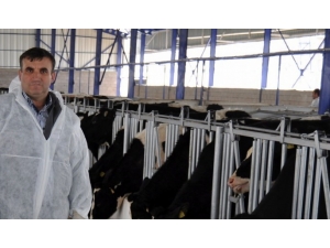 Süt Üreticileri Birliği Başkanı Tuna: