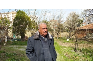 Polis Evden Çıkamayan Yaşlı Adamın Pazar İhtiyacını Karşıladı