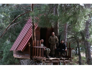 Korona Virüsünden Ağaç Tepesine Yaptıkları Evde Korunuyorlar