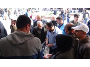 Sumak Alabilmek İçin Birbirleri İle Yarıştılar