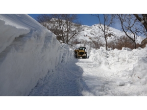 Muş’ta Karla Mücadele Çalışması