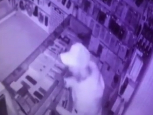 Fatih’te 11 Telefon Çalan Hırsızlar Kamerada