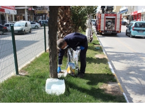 Kahta’da Sokak Hayvanları İçin Mama Ve Su Bırakılıyor