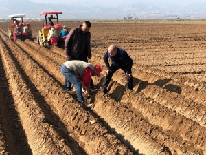 Hayatın Devamı İçin Çiftçi Üretmeye Devam Ediyor