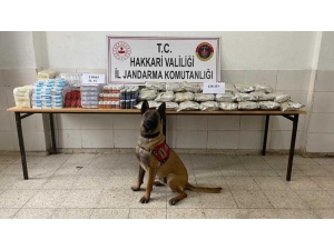Yüksekova’da Yüklü Miktarda Uyuşturucu Madde Ve Tıbbi İlaç Ele Geçirildi