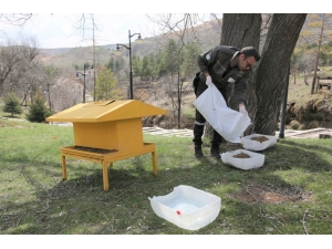 Sokak Hayvanları İçin Mesire Alanlarına Yem Ve Su Bırakıldı