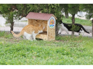 Atakum’da ‘Can Dostlar’ Unutulmadı