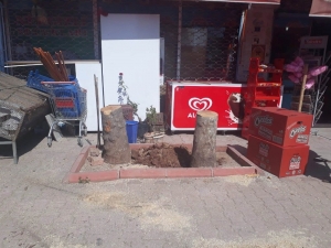 Toroslar Belediyesi, Ağaç Kesen Esnafa Para Cezası Uyguladı