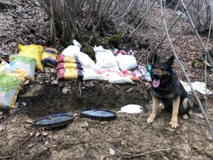 Bitlis’te Terör Örgütüne Ait Sığınak Ve Yaşam Malzemesi Ele Geçirildi