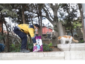 Eyüspultan’da Sokak Hayvanları Unutulmadı
