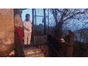 Tunceli’de Sokak Hayvanlarını Besleyen Ekibe Yaşlı Çiftten Teşekkür