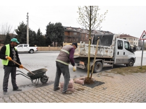 Düzce Mis Gibi Kokacak