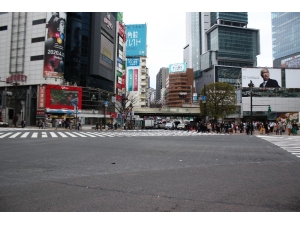 Japonya’nın Başkenti Tokyo’da Sakin Hafta Sonu