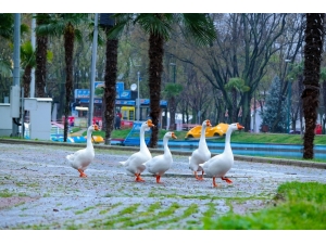Bursa’da Parklar Sağlık İçin Kapatıldı