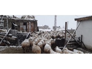 Mart Karı Beyaza Bürüdü