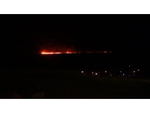 Kuşların Yumurtlama Döneminde Göksu Deltasında Yangın Çıktı