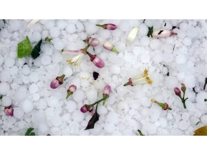 Mersin’de Şiddetli Dolu Yağışı