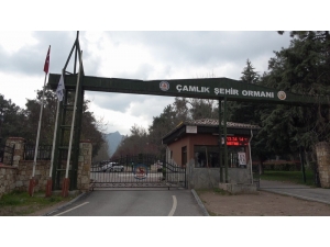 En Büyük Sosyal Alandı, En Sessiz Günlerini Yaşıyor