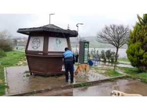 İzmit’te Sokak Hayvanları Unutulmuyor