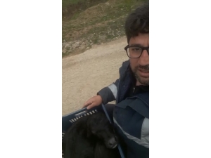 Anne Mandanın Yavru Sevgisi