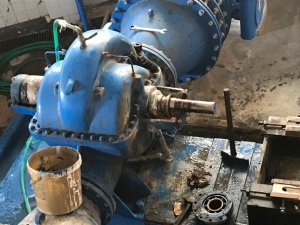 Asat’tan Duraliler’de Kapsamlı Bakım