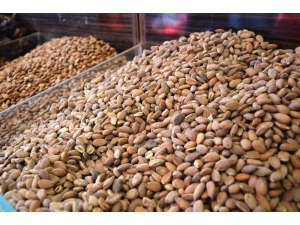 Korona Virüs Tedavileri İçerisinde Kayısı Çekirdekleri De Bulunuyor