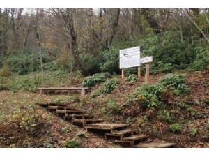 Tabiat Parklarına Virüs Engeli