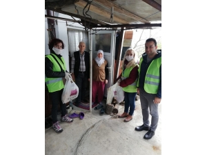 Belediye Yaşlıların Yanında