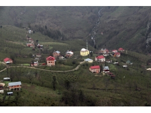 Giresun’da Köylüleri Endişelendiren Göç Dalgası