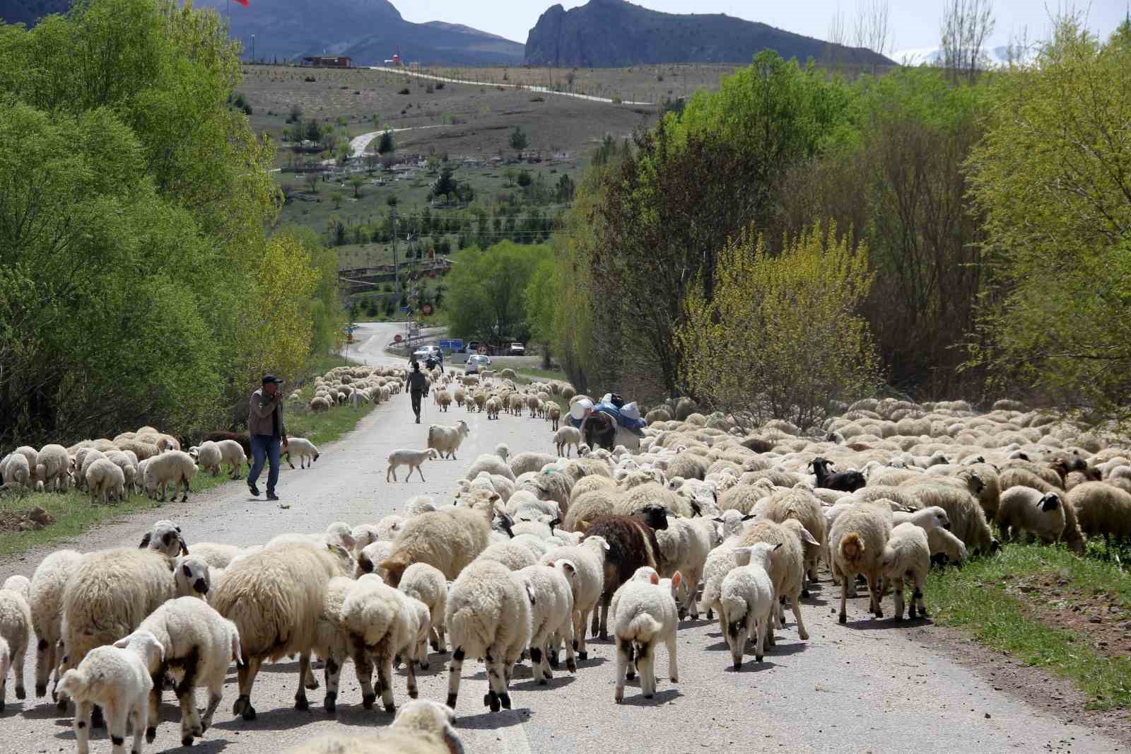 erzincan-da-yaylacilar-5-aylik-sezonun-ardindan-donus-yolculuguna-basladi