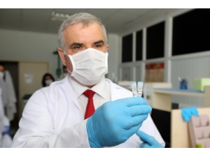 Yerli Ve Milli Enzimle, Korona Virüs Tanısında Başarı Yakalanacak