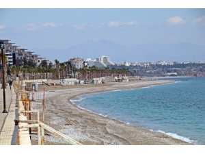 Dünyaca Ünlü Sahil Onlara Kaldı, Anne Ve Yavru Köpekler Gülümsetti