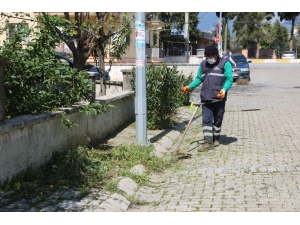 Efeler’de Bahar Temizliği