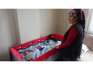 Adanalı Anne Üçüzleri İçin Yardım Bekliyor