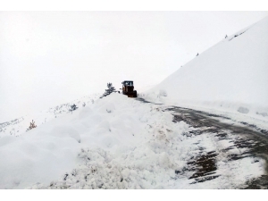 Gümüşhane’de Karla Mücadele Çalışmaları Devam Ediyor