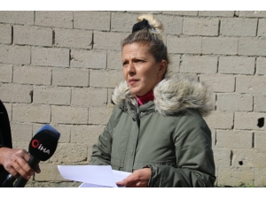 Kozan’daki Barınak Vahşetinde Şok İddia