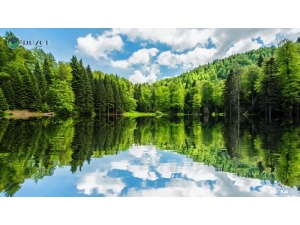 Düzce Valiliği Hazırladığı Video İle Vatandaşları Uyardı: