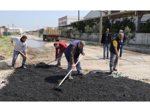 Turgutlu Belediyesi Ova Yollarında Çalışmalara Başladı