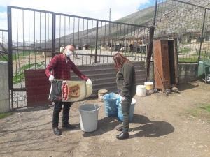 Dkmp Bitlis Şubesi Tarafından Hayvan Barınakları Denetlendi