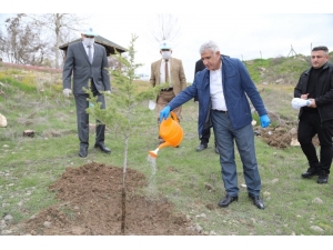 Battalgazi’de 750 Fidan Toprakla Buluştu