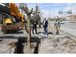 Tır Tır Geldi, Tek Tek Dikildi