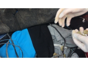 İstanbul’da 1.5 Milyon Değerinde Uyuşturucuyla Yakalanan 3 Torbacı Tutuklandı