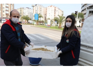 Can Dostlara Mama Dağıttılar