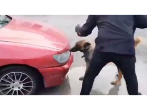 Şüphe Üzerine Durduruldu, Uyuşturucu Hap Bulundu