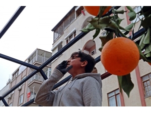 Antalya’da ‘Korona Alışverişi’ Nostaljiye Götürdü