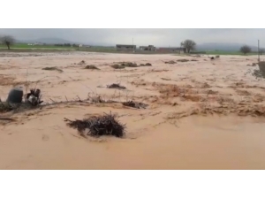 Şanlıurfa Kırsalını Sel Vurdu