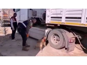 Yakıt Deposunda Binlerce Paket Sigara Çıktı