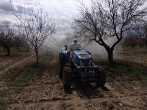 Dışarı Çıkamayan Yaşlı Şahsın Kayısı Bahçesini Ekipler İlaçladı